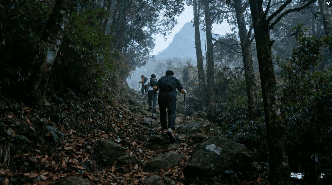 x推特加速器使用指南与操作方法详解